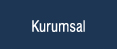 Kurumsal